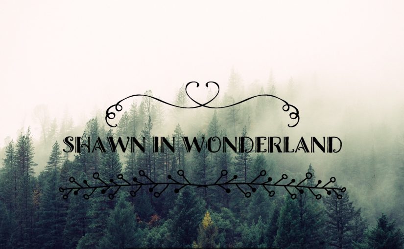 Shawn in Wonderland